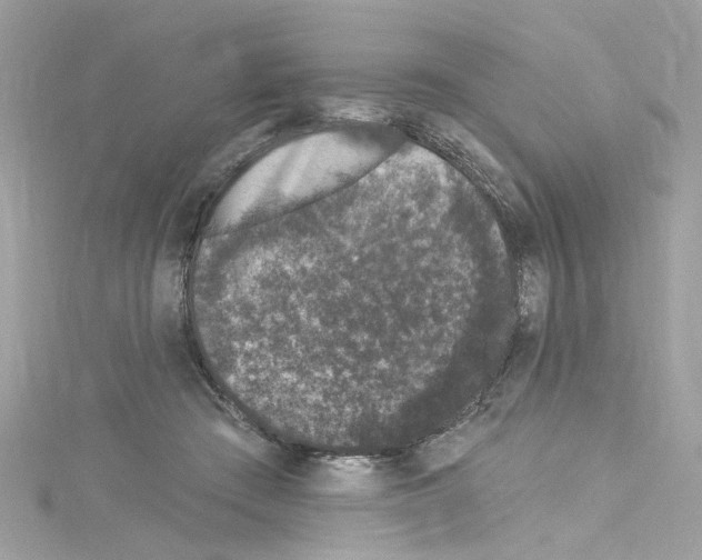 X0000114120409200911161143