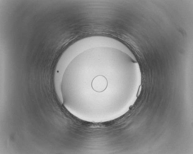 X0000114120415200911161143