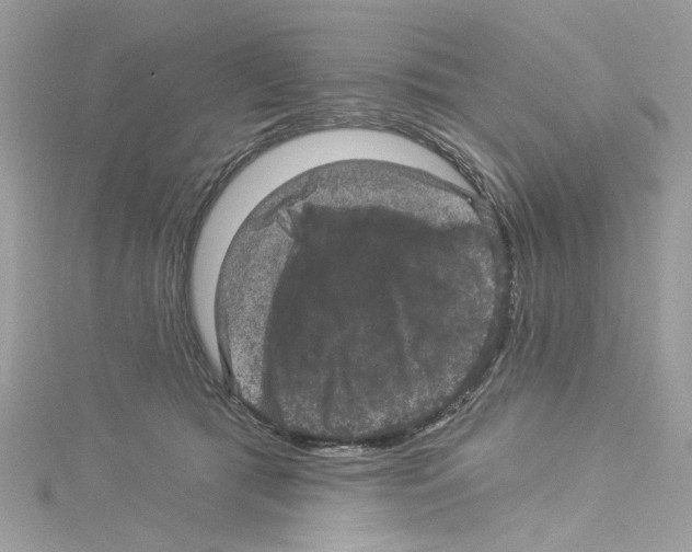 X0000114120417200911161143