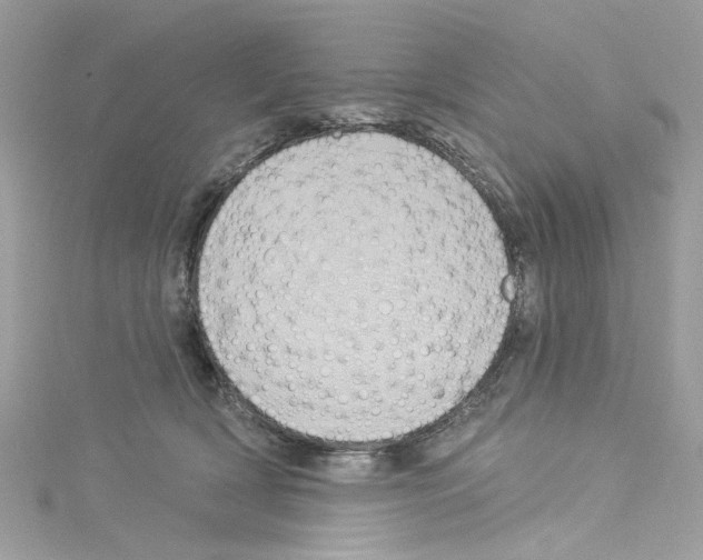 X0000114120418200911161143