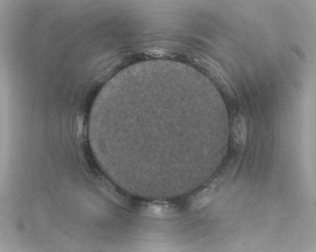 X0000114120420200911161143