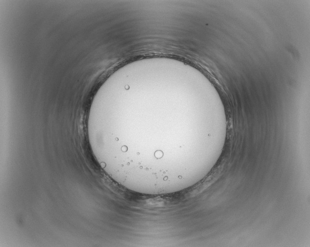 X0000114120423200911161143