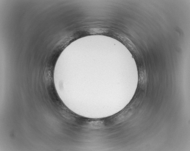 X0000114120426200911161143