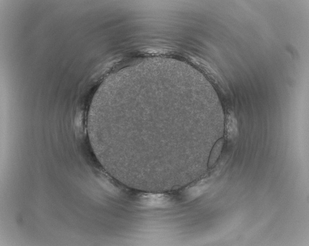 X0000114120428200911161143