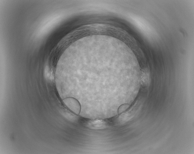 X0000114120431200911161143