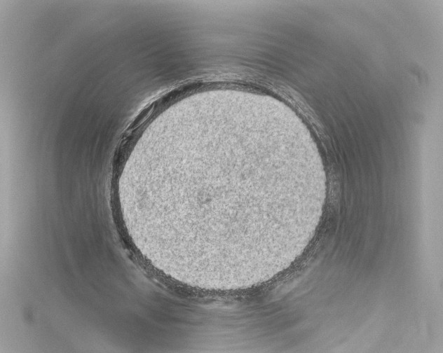 X0000114120434200911161142