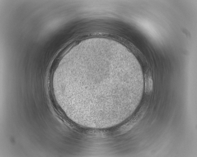 X0000114120435200911161142