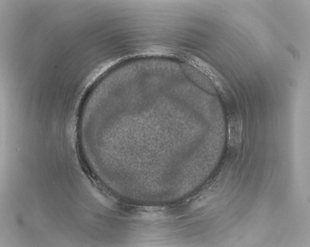 X0000114120436200911161142