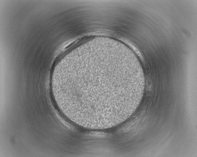 X0000114120437200911161142