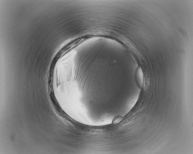 X0000114120438200911161142