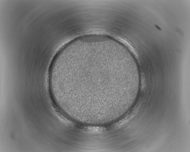 X0000114120439200911161142