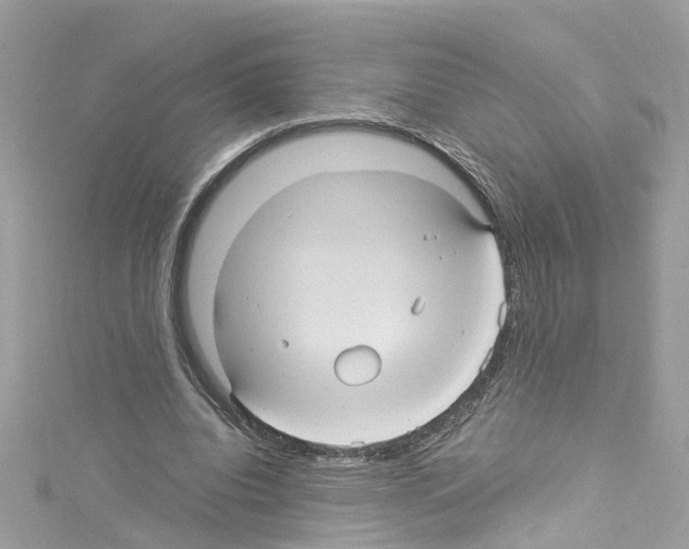 X0000114120440200911161142