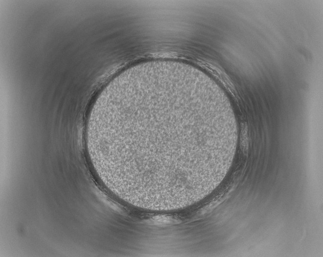 X0000114120441200911161142