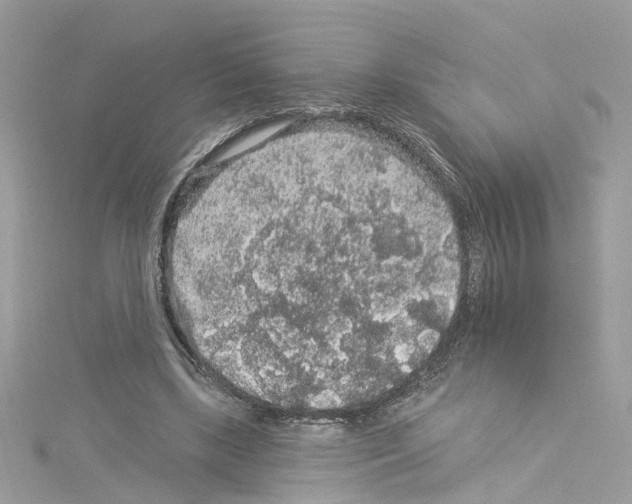 X0000114120443200911161142