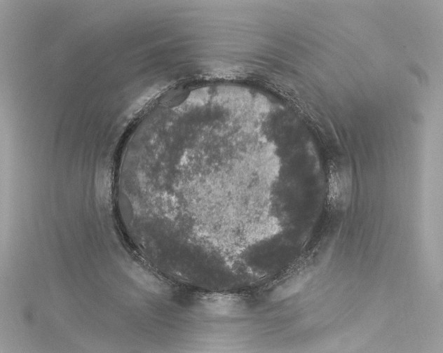 X0000114120444200911161142