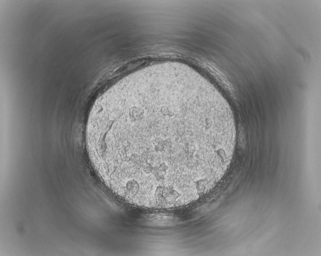 X0000114120449200911161142