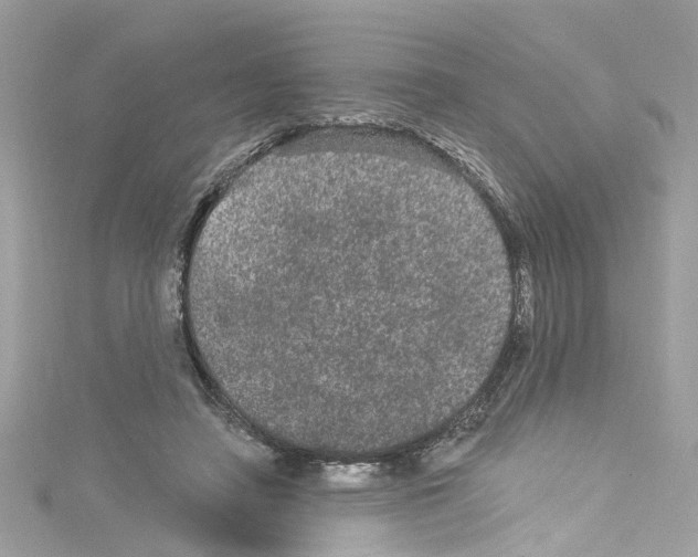 X0000114120450200911161142