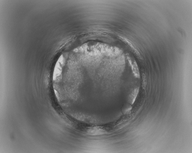 X0000114120451200911161142