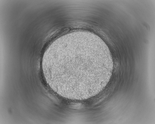 X0000114120454200911161142