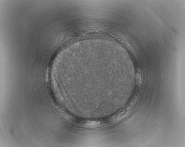 X0000114120458200911161142