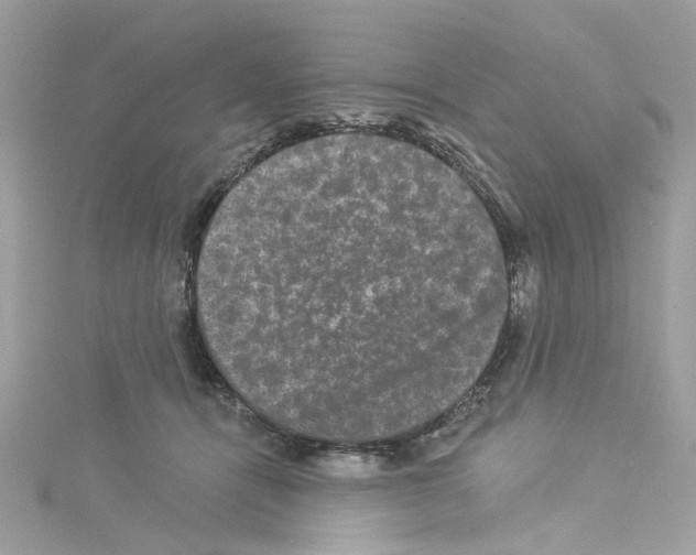 X0000114120464200911161142