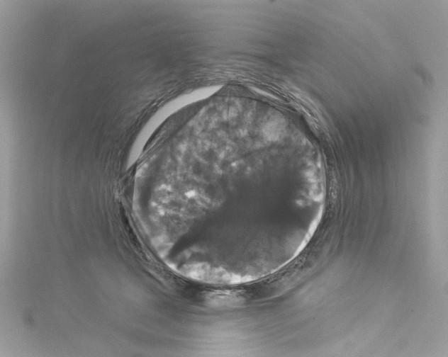 X0000114120465200911161142