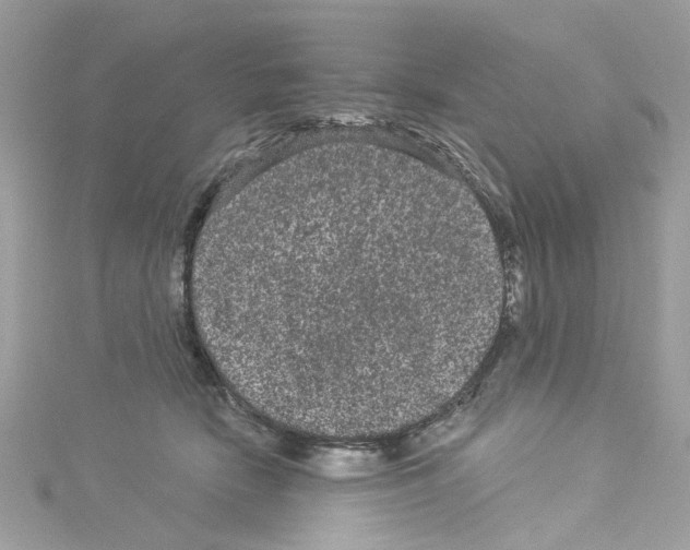 X0000114120466200911161142