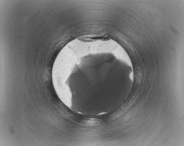 X0000114120467200911161142