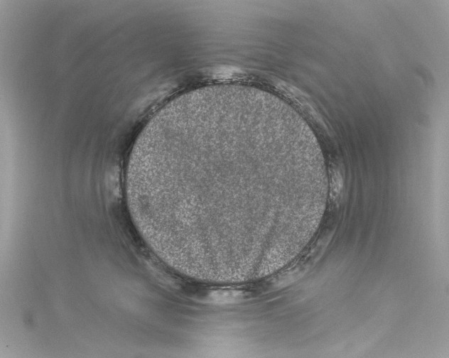 X0000114120470200911161143