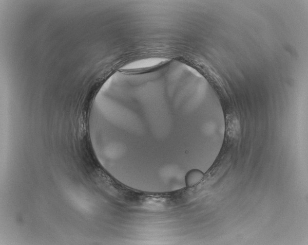 X0000114120471200911161143