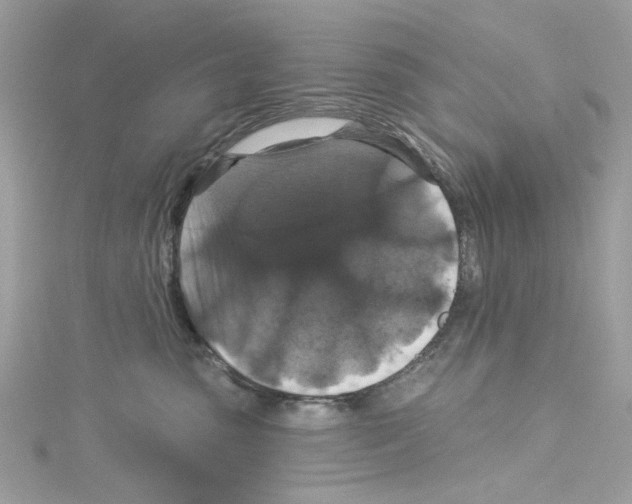 X0000114120475200911161143