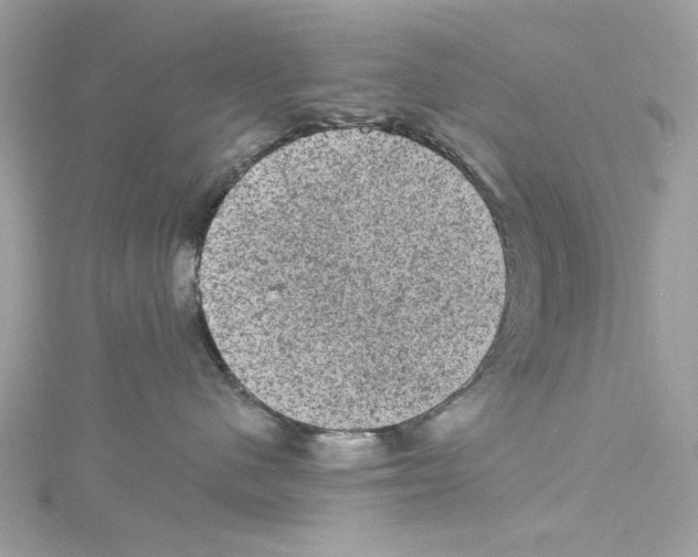 X0000114120480200911161143