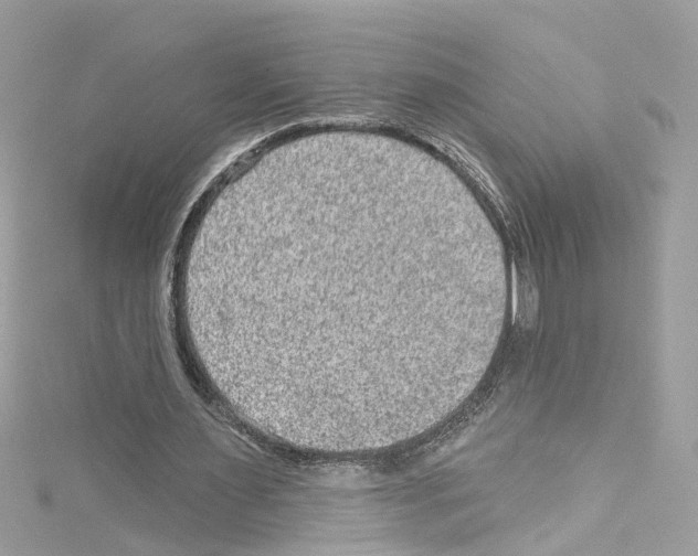 X0000114120483200911161142