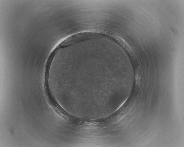 X0000114120484200911161142