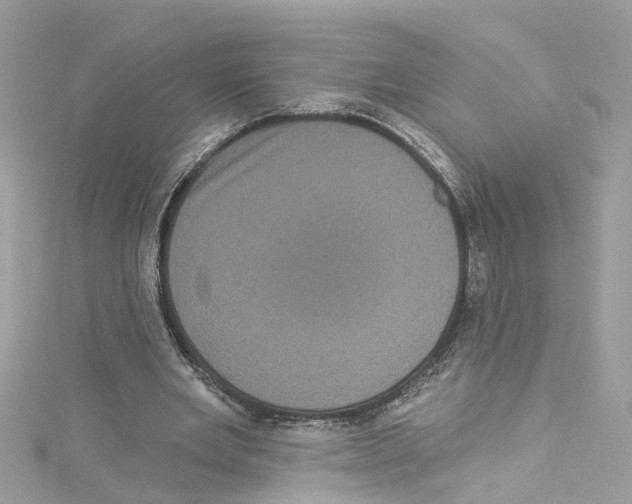 X0000114120485200911161142