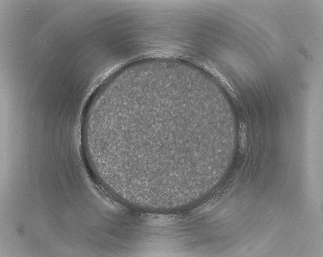 X0000114120486200911161142