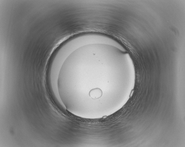 X0000114120488200911161142