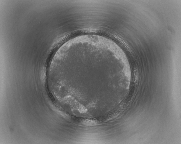 X0000114120494200911161142