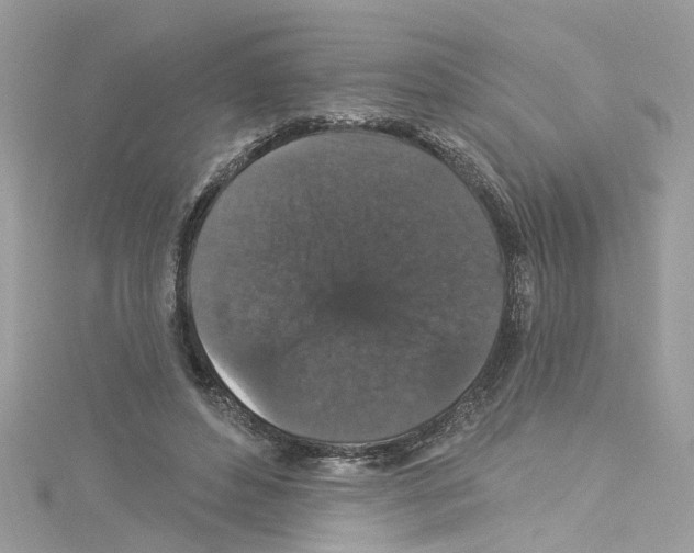 X0000114120496200911161142