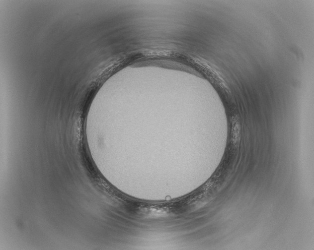 X0000114120498200911161142