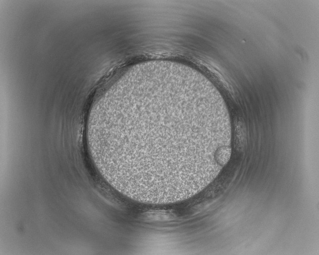 X0000114120499200911161142