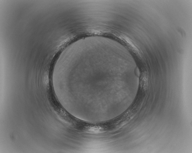 X0000114120500200911161142