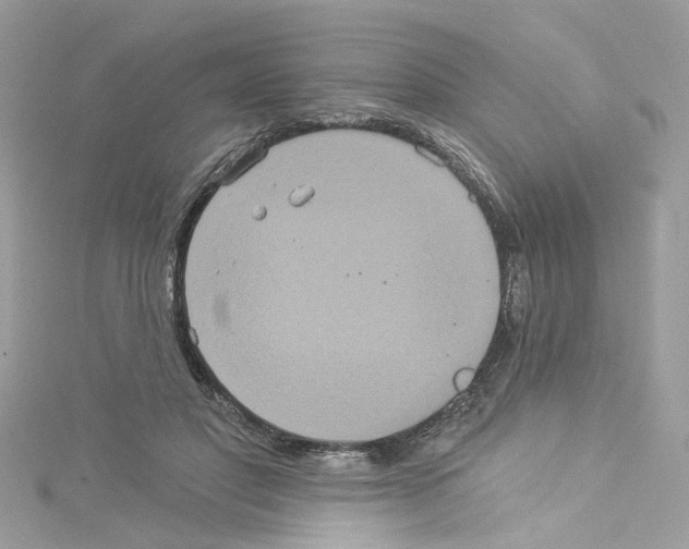 X0000114120501200911161142