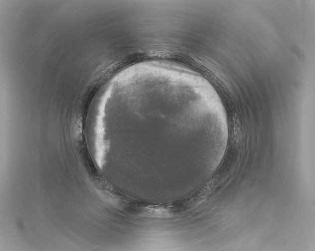 X0000114120502200911161142