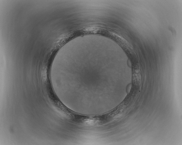 X0000114120504200911161142