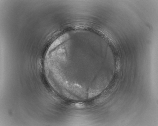 X0000114120506200911161142