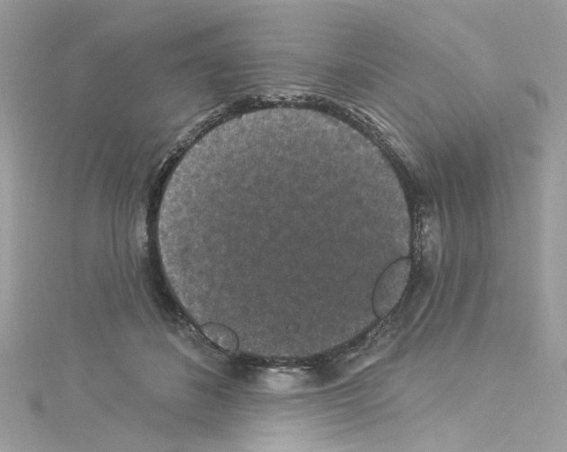 X0000114120508200911161142