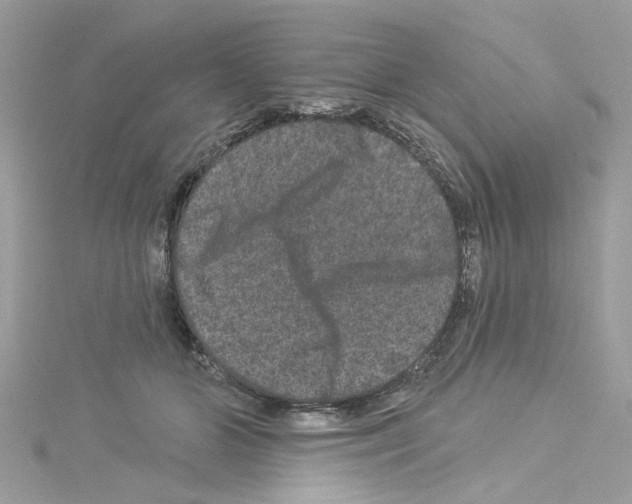 X0000114120510200911161142