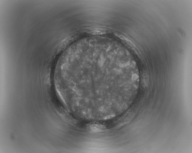 X0000114120512200911161142