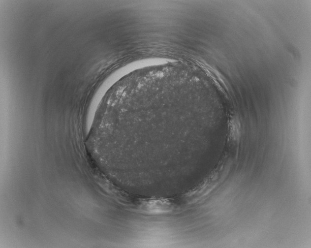 X0000114120517200911161142